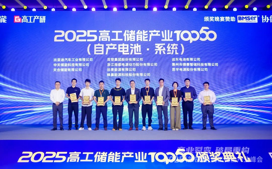 再獲殊榮！德賽電池榮登2025高工儲(chǔ)能產(chǎn)業(yè)“儲(chǔ)能電池·系統(tǒng)榜單TOP10”